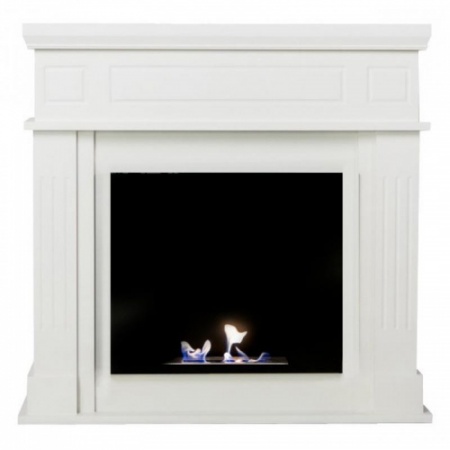 Биокамин классический ZeFire Tetra по цене 79 000 руб.